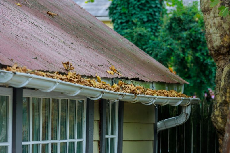 Professional Gutter Protection Installation